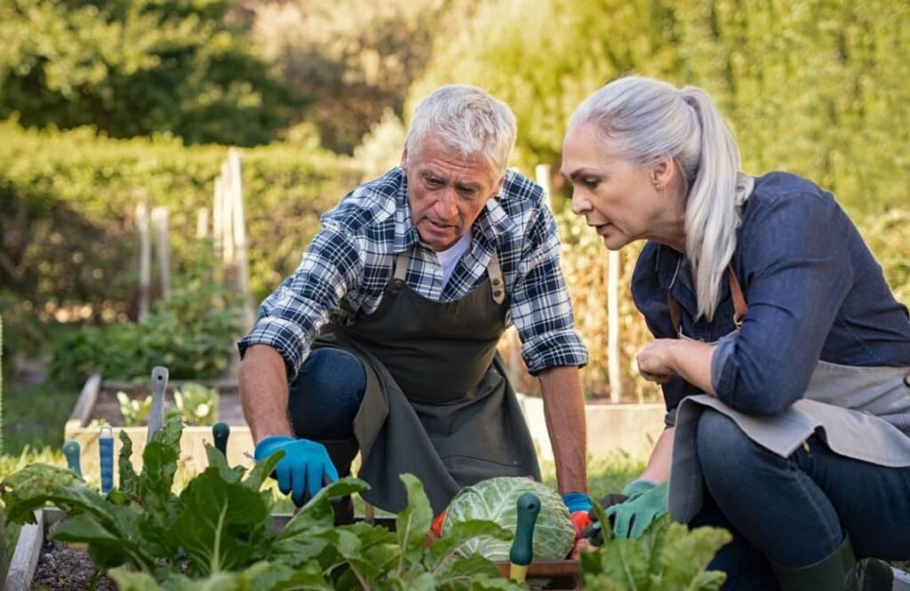 Un couple de seniors jardine ensemble dans un potager. Le jardinage est une activité douce qui favorise la santé physique, stimule la mémoire et contribue au bien-être global des personnes âgées après 60 ans.